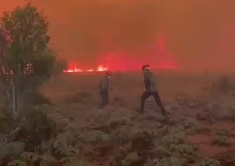Emergencia en Chubut: el fuego avanza y ya consumió 35.000 hectáreas