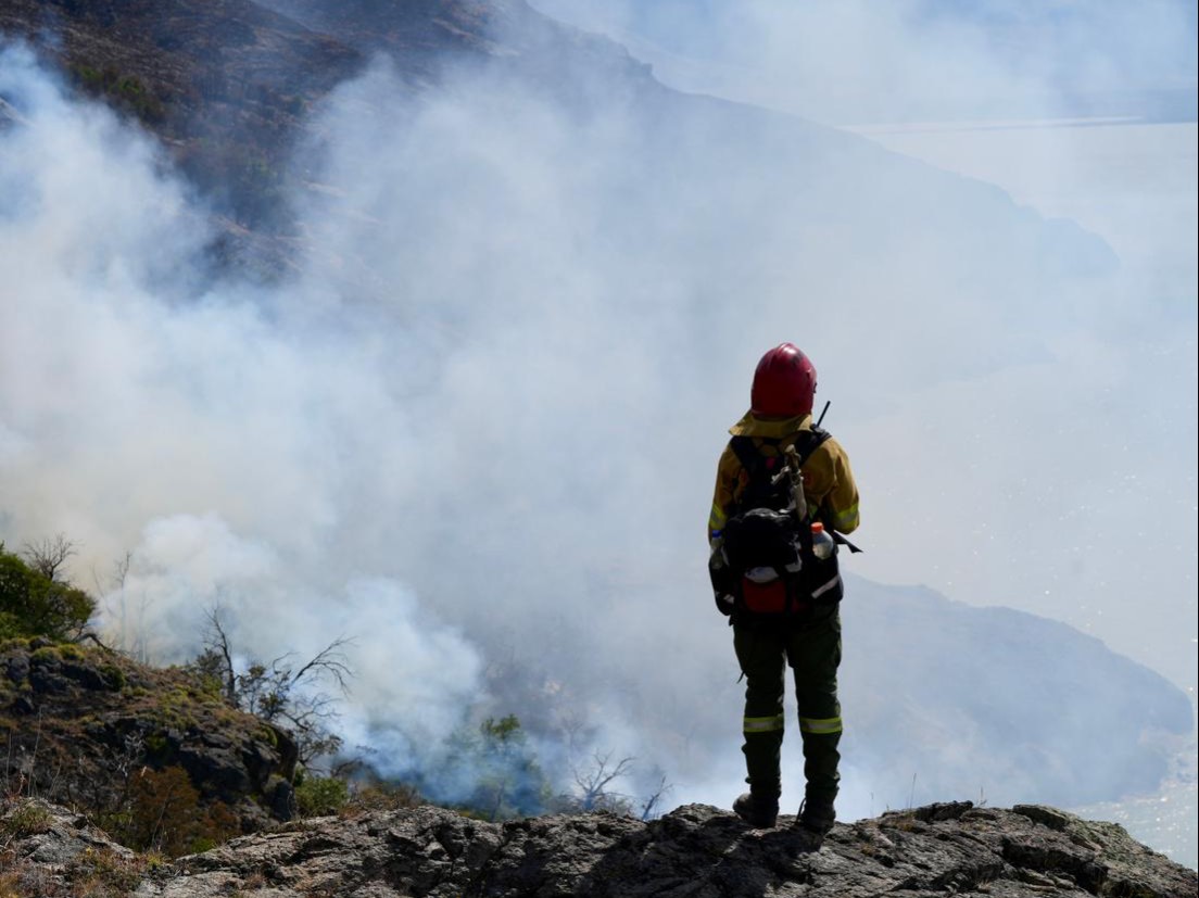 Incendios en la Patagonia: presentan proyectos para declarar la emergencia ignea