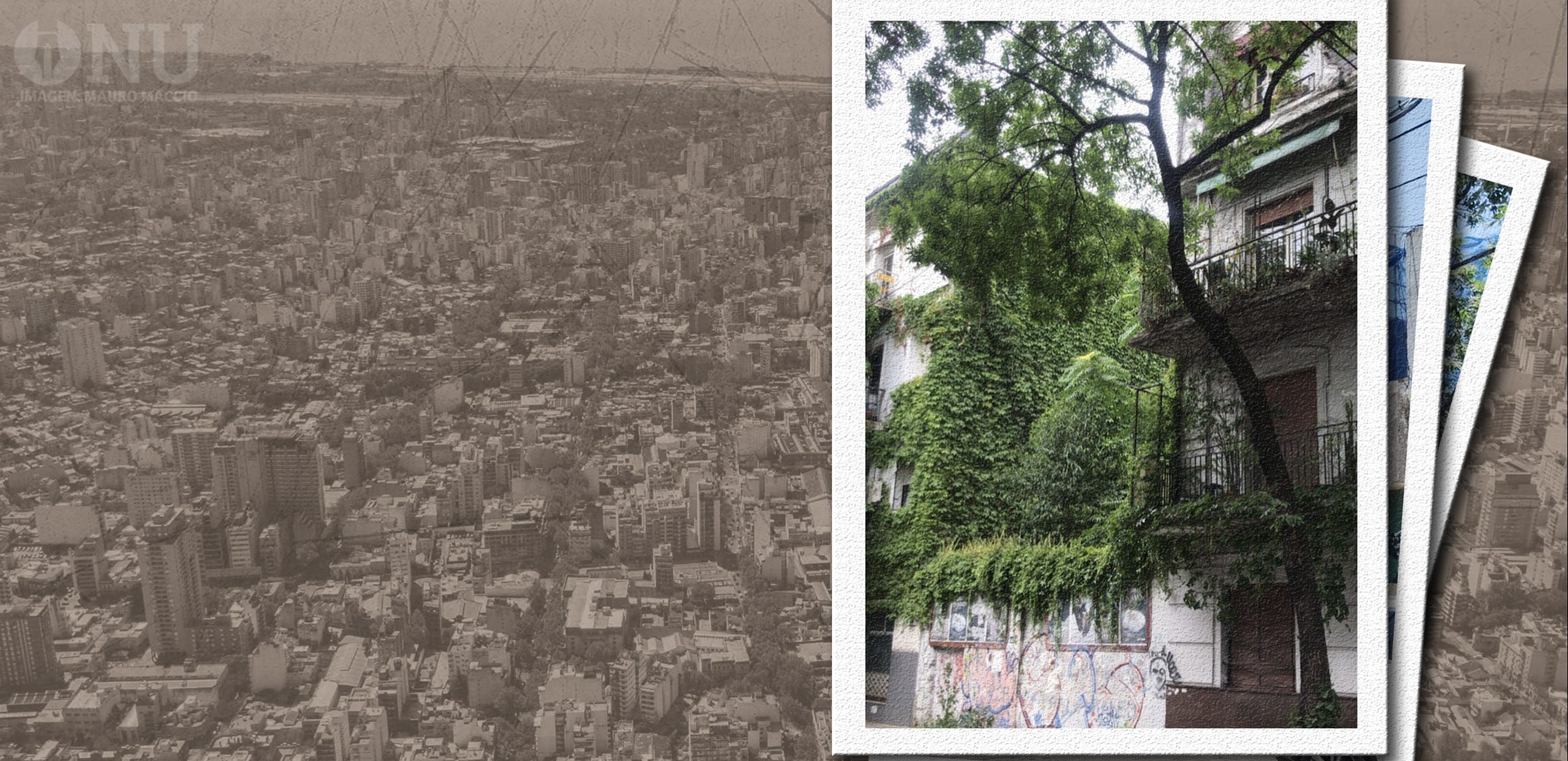 Cuando el verde escasea: conflicto por un terreno en Almagro