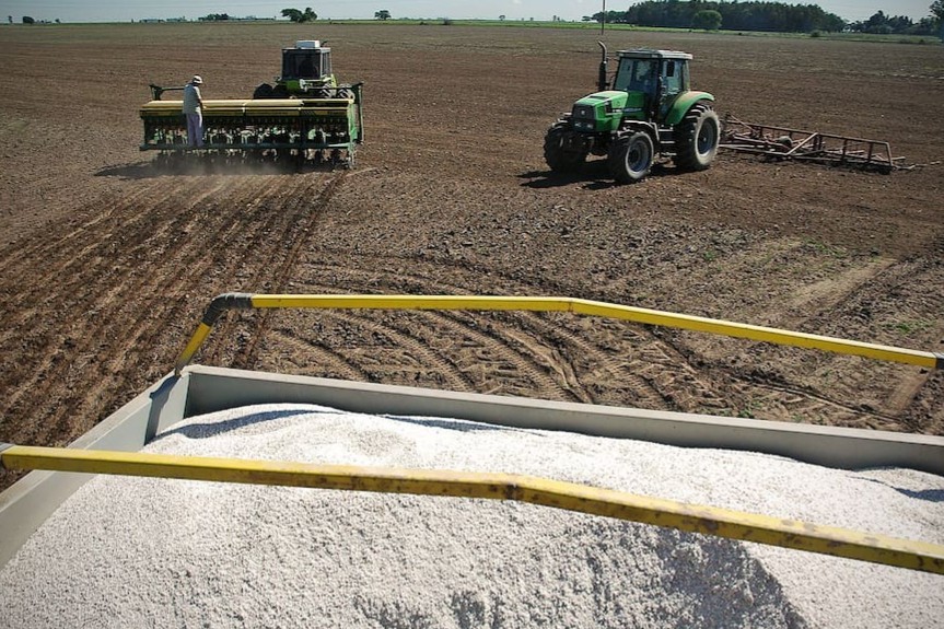 El campo en alerta: la guerra dispara costos y complica la campaña agrícola