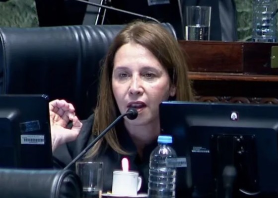 Pilar Ramírez: "Hoy La Libertad Avanza es el espacio más reformista de la Ciudad"