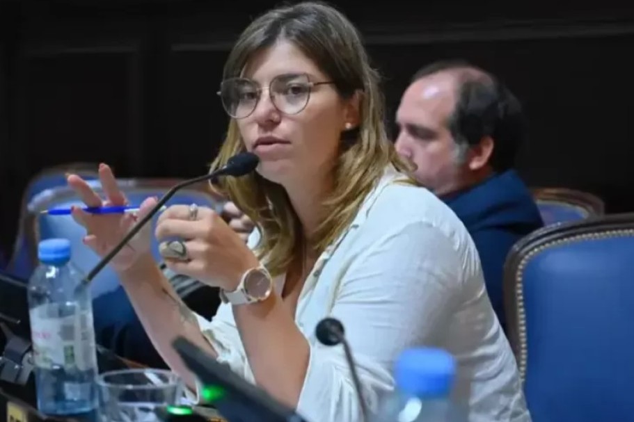Iniciativa polémica: diputada de Carrió busca acallar voces sin representación oficial