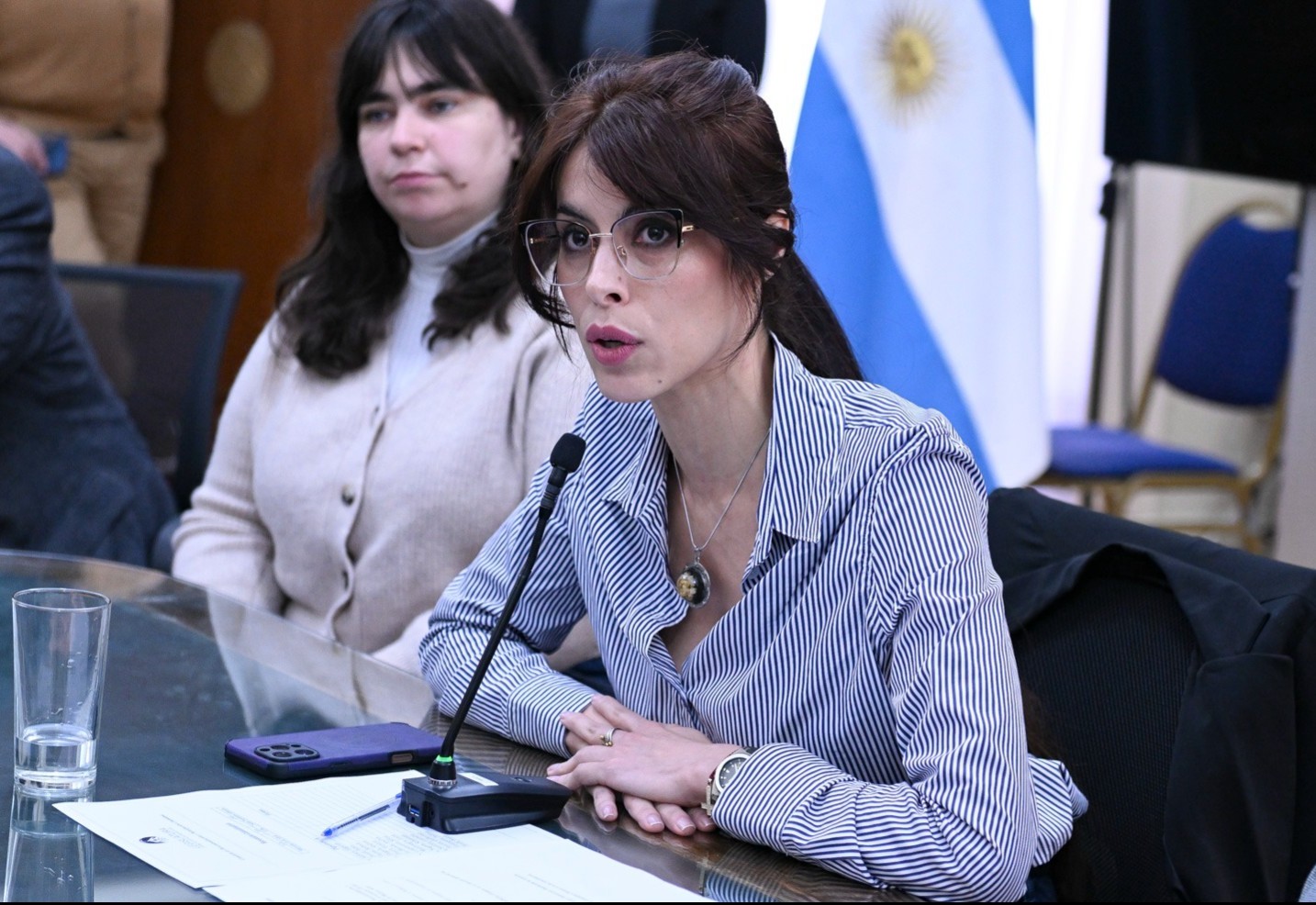 La Junta de Interpretación y Reglamento y tres comisiones conformaron su integración