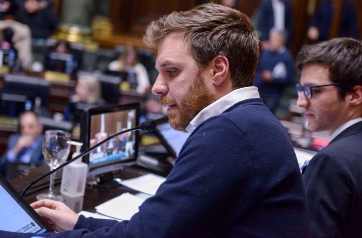 Maltrato animal: Ferrario pidió informes para saber si ya funciona el registro de agresores en CABA