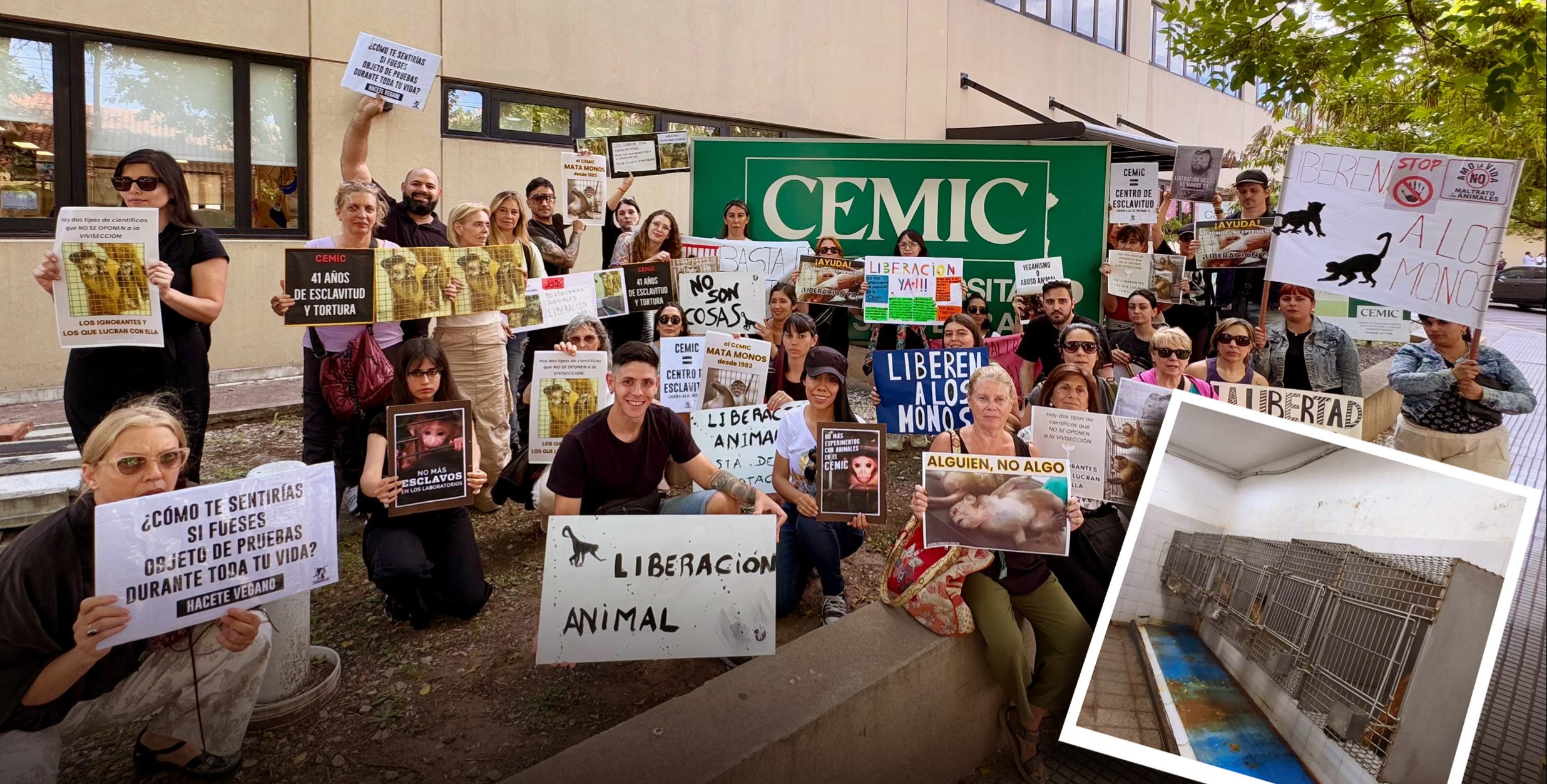 ¿Encierro o santuario?: el rescate de siete macacos confinados en el CEMIC de Saavedra
