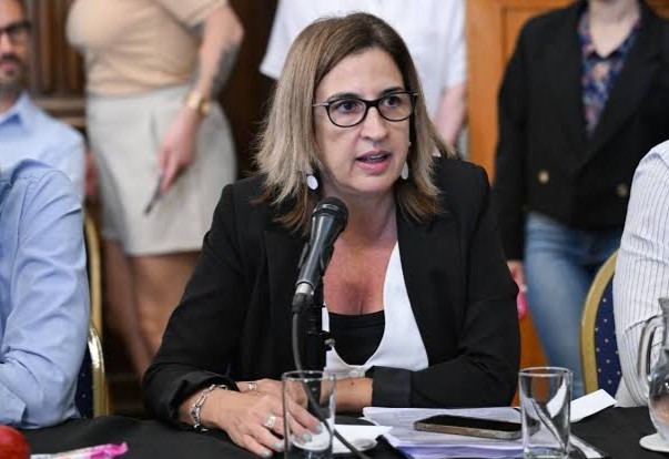 Neira cuestionó el informe de Sánchez Zinny: "Cero planificación"