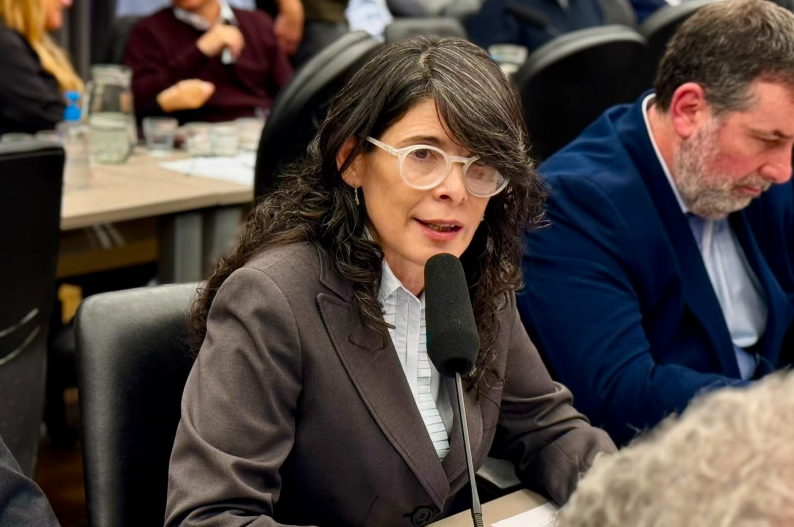 Dura crítica de la Abogacía porteña al proyecto de falsas denuncias