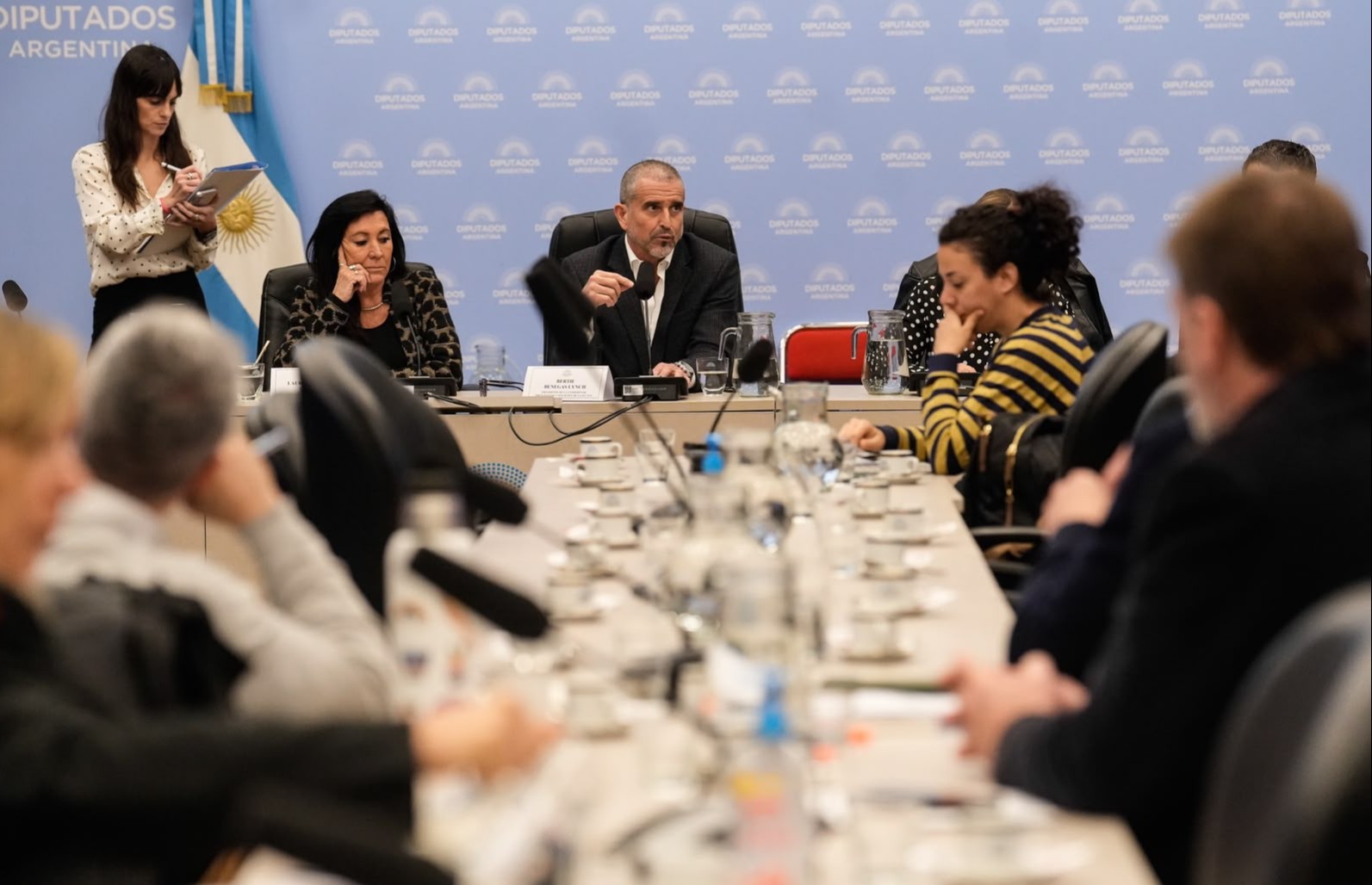 Tierras argentinas en disputa:  el Senado en la mira por el tratamiento de la Ley que divide al país