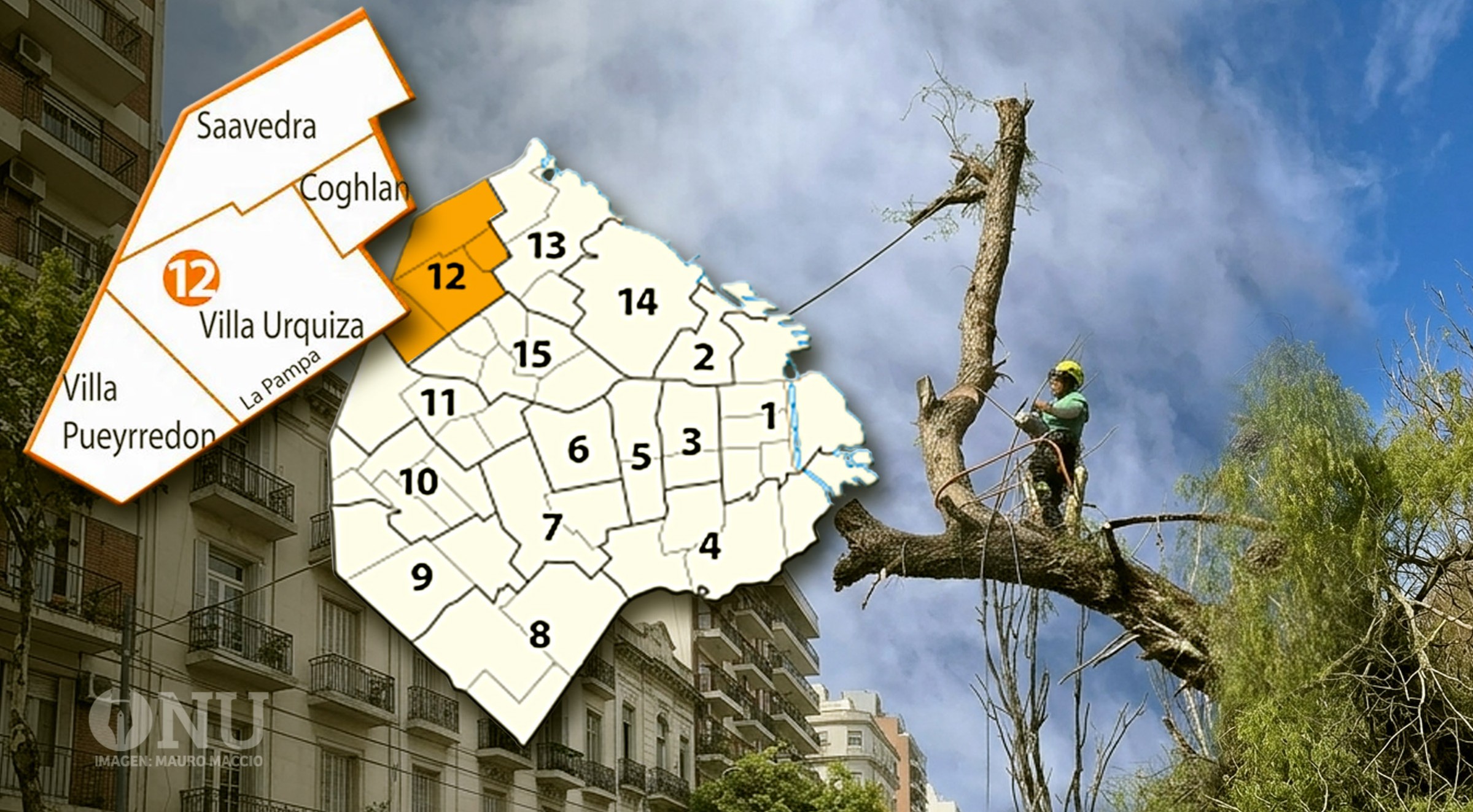 La Comuna 12, al tope de las autorizaciones para extraer árboles