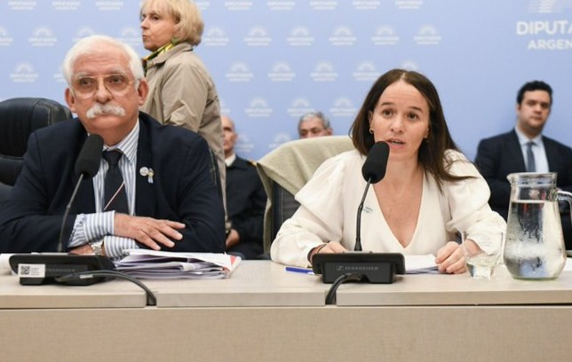 Malvinas: el Gobierno rechaza dividir la ley y propone una Bicameral de control