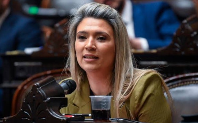 Una Comisión clave del Senado enfrenta internas entre aliados