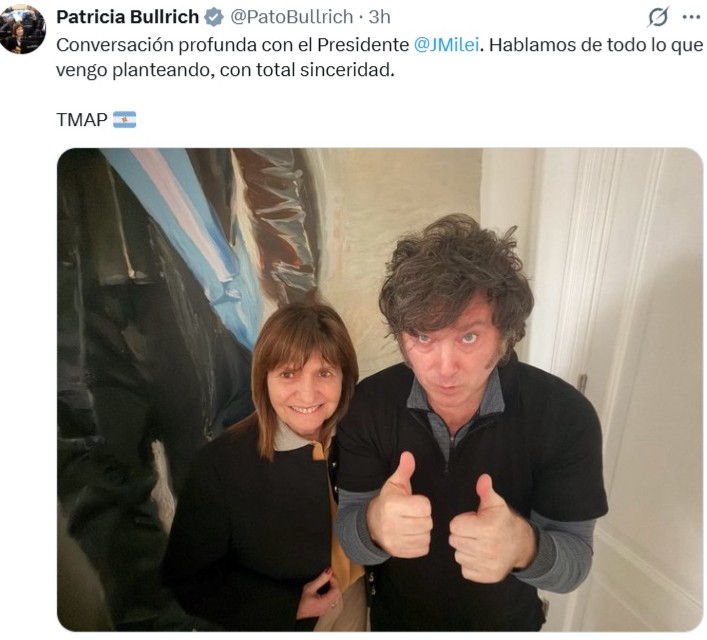 bullrich9