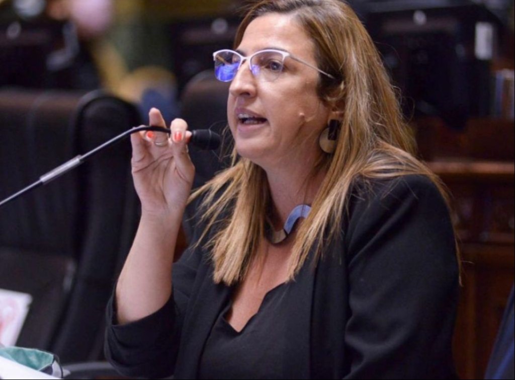 Neira y la emergencia hídrica en CABA por El Niño