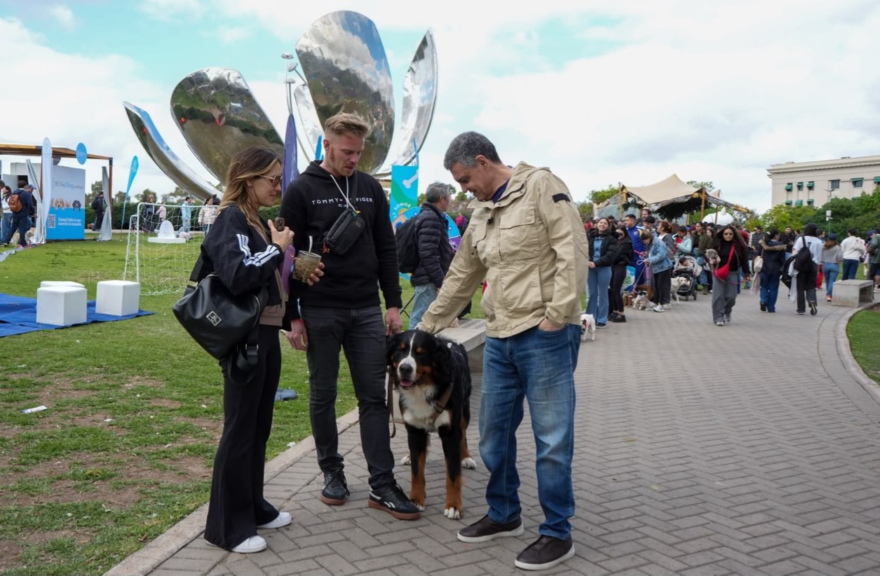 GCBA impulsa una ley para que cada perro y gato tenga un número único de identificación 