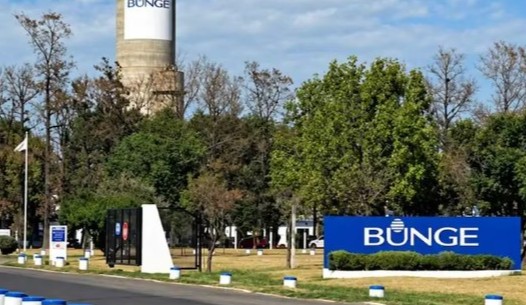 Golpe al empleo en Campana: 110 despidos tras el cierre de una planta